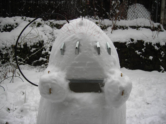 snowbot2